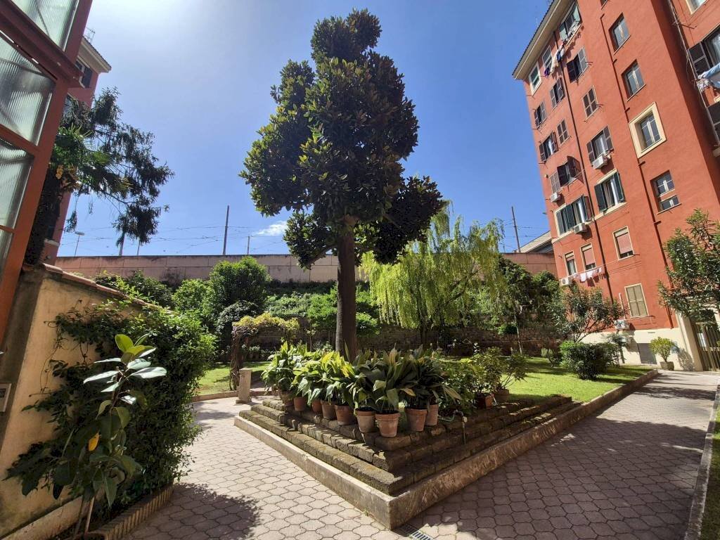 Giardino - Trilocale via Raimondo Montecuccoli, 15, Roma (zona Pigneto) - foto 1