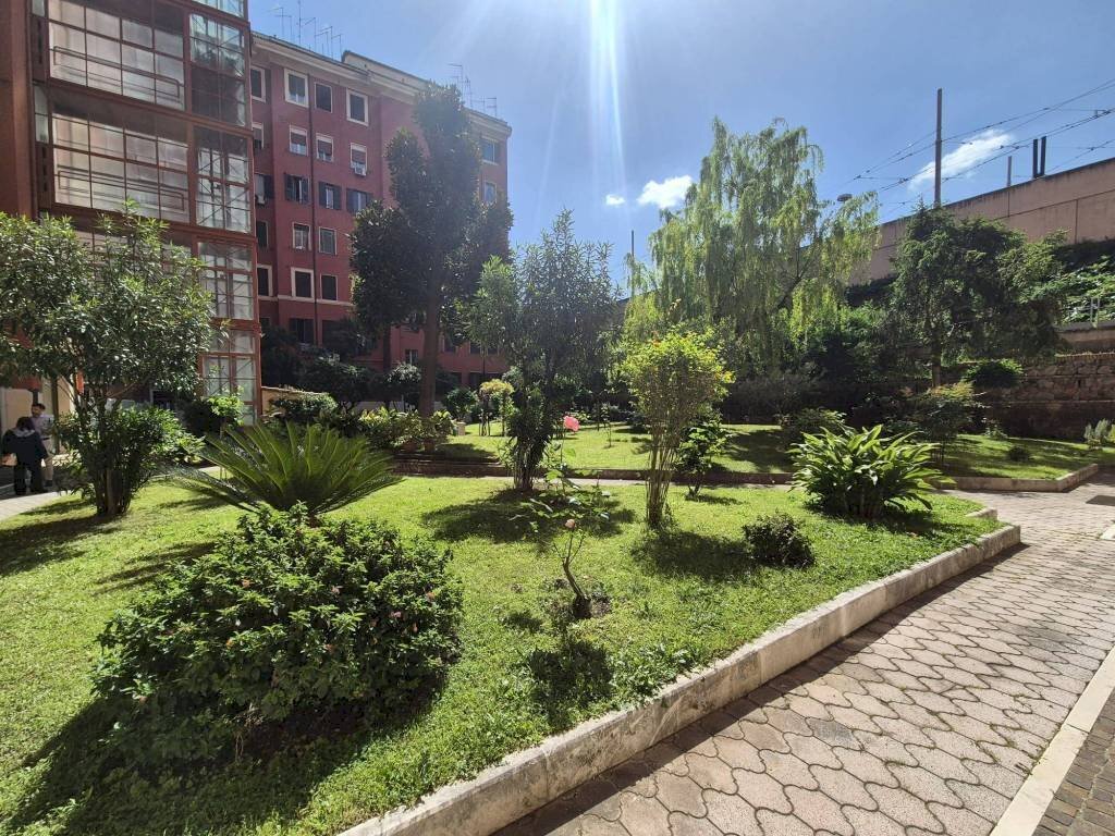 Giardino - Terreno non edificabile via Raimondo Montecuccoli, 15, Roma (zona Pigneto) - foto 3