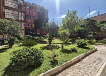 Giardino - Non-buildable land via Raimondo Montecuccoli, 15, Roma (neighborhood Pigneto) - photo 3