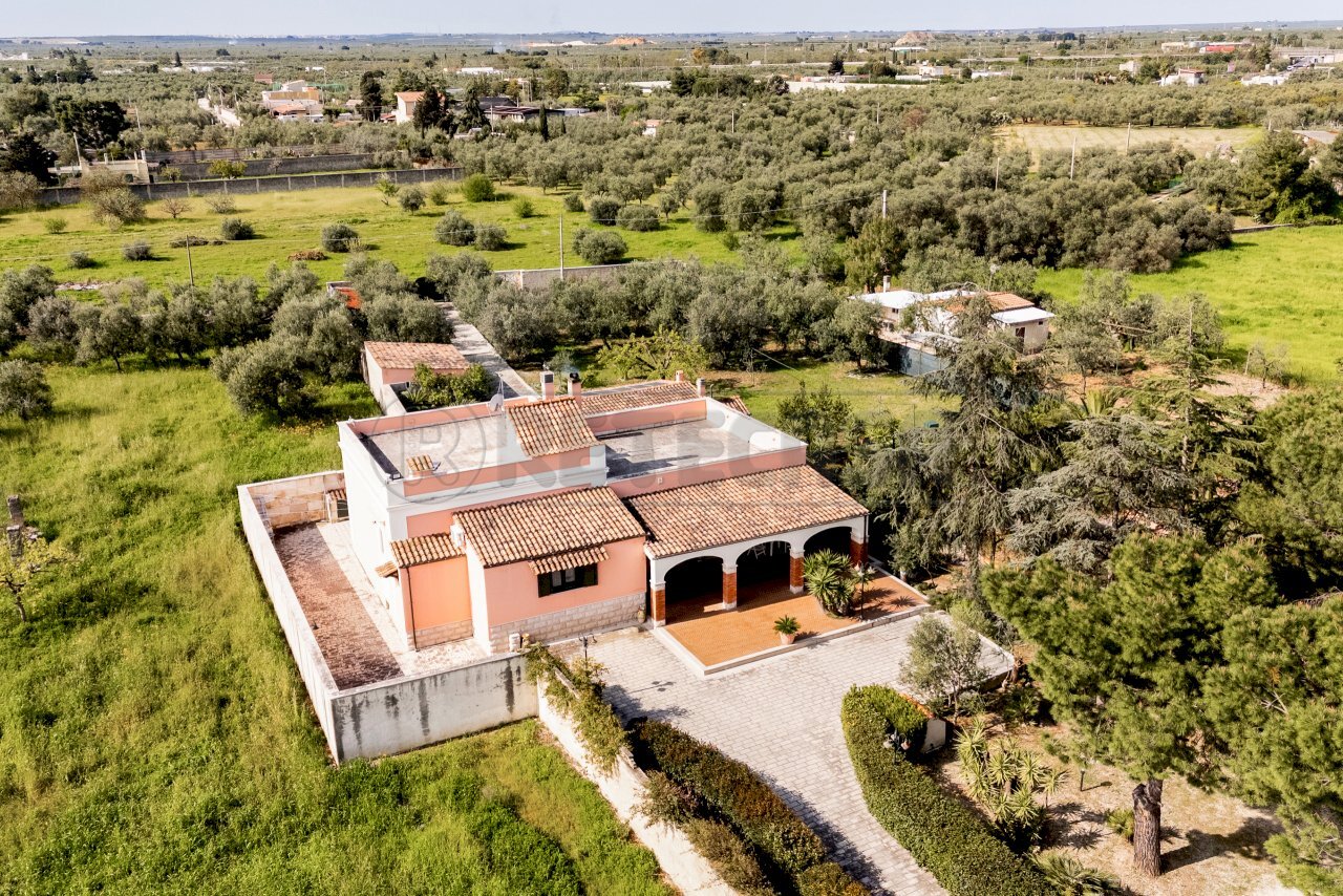 2.jpg - Villa Via Crosta 9, Bisceglie - photo 2