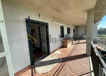 IMG-20250130-WA0007.jpg - Appartamento Ferentino - foto 8