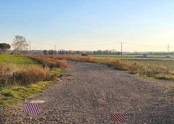 DILEOIMMOBILIARE VENDE TERRENO EDIFICABILE INDUSTR - Terreno edificabile Tarquinia - foto 14