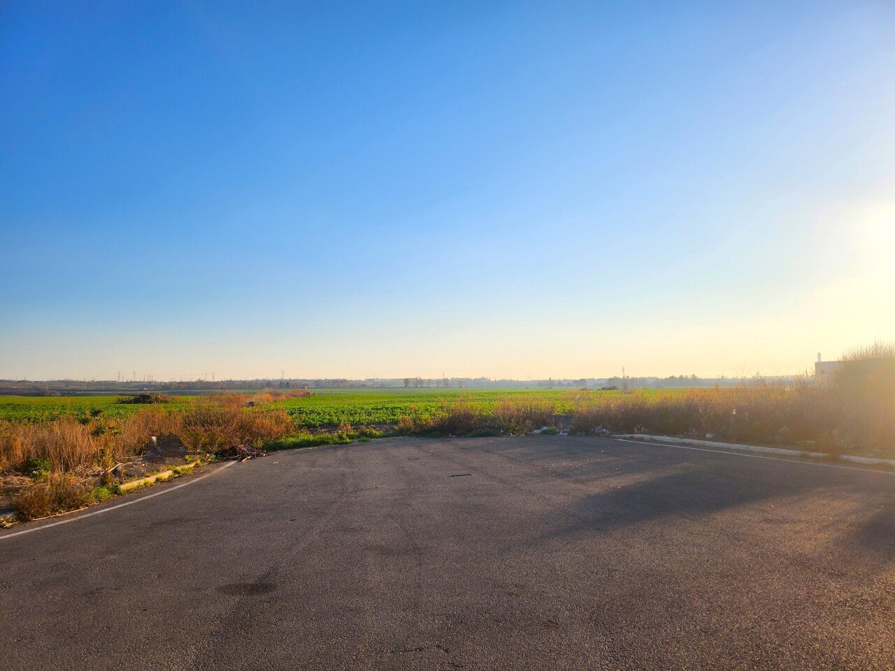 DILEOIMMOBILIARE VENDE TERRENO EDIFICABILE INDUSTR - Terreno edificabile Tarquinia - foto 3