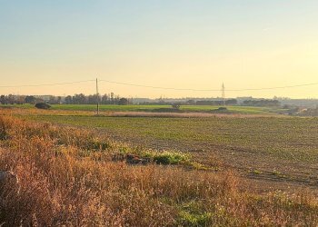 DILEOIMMOBILIARE VENDE TERRENO EDIFICABILE INDUSTR - Terreno edificabile Tarquinia - foto 8