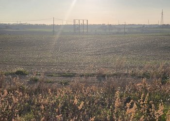 DILEOIMMOBILIARE VENDE TERRENO EDIFICABILE INDUSTR - Terreno edificabile Tarquinia - foto 9