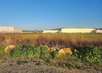 DILEOIMMOBILIARE VENDE TERRENO EDIFICABILE INDUSTR - Terreno edificabile Tarquinia - foto 11