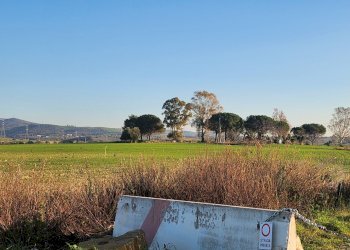 DILEOIMMOBILIARE VENDE TERRENO EDIFICABILE INDUSTR - Terreno edificabile Tarquinia - foto 12