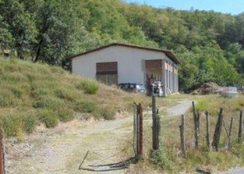 2.jpg - Shed Via Madonna delle Vigne snc, Genova (neighborhood Pontedecimo) - photo 1