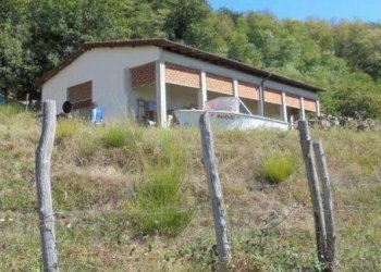 3.jpg - Shed Via Madonna delle Vigne snc, Genova (neighborhood Pontedecimo) - photo 2