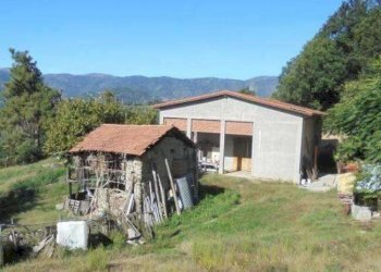 5.jpg - Shed Via Madonna delle Vigne snc, Genova (neighborhood Pontedecimo) - photo 4
