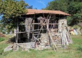 7.jpg - Shed Via Madonna delle Vigne snc, Genova (neighborhood Pontedecimo) - photo 6