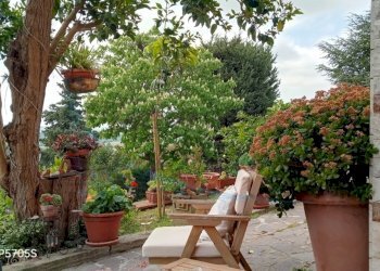 IMG_20260411_122126_069 (FILEminimizer).jpg - Villa Via della Serra, Santa Luce - foto 29