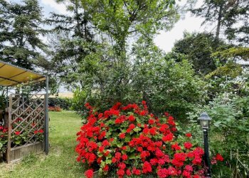 IMG_1909.jpeg - Villa VIA CHIARAVALLESE, Osimo - foto 13
