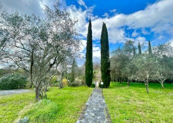 60779879-997a-42bf-a3e7-c387e4770a72.jpg - Villa Sarzana - foto 5