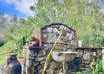 327d3313-7ec6-44ac-9be1-2a6557d44fe3.jpg - Villa Sarzana - foto 13