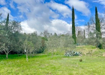 086ade69-36fb-4bef-ab0c-b2a6c3c7ddd4.jpg - Villa Sarzana - foto 18