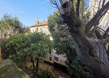 Terratetto - Terracielo Trieste - foto 13