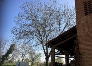 Rustic via Canale, Casalgrande - photo 25