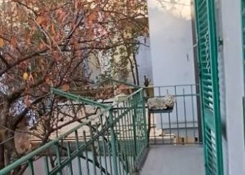 Casa indipendente Torino (zona Campidoglio) - foto 38