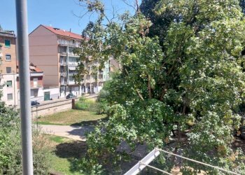 Bilocale Torino (zona Parella) - foto 2