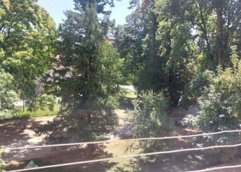 Bilocale Torino (zona Parella) - foto 3