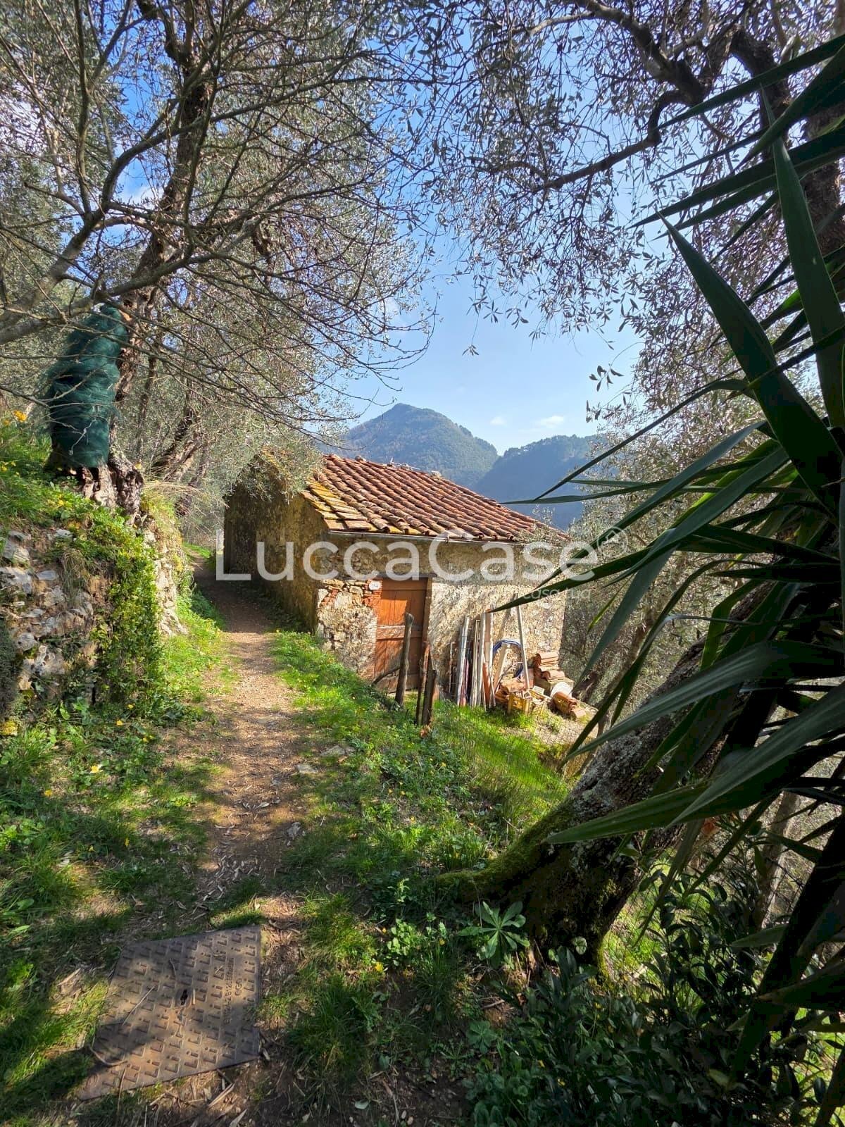 Rustico Camaiore - foto 1