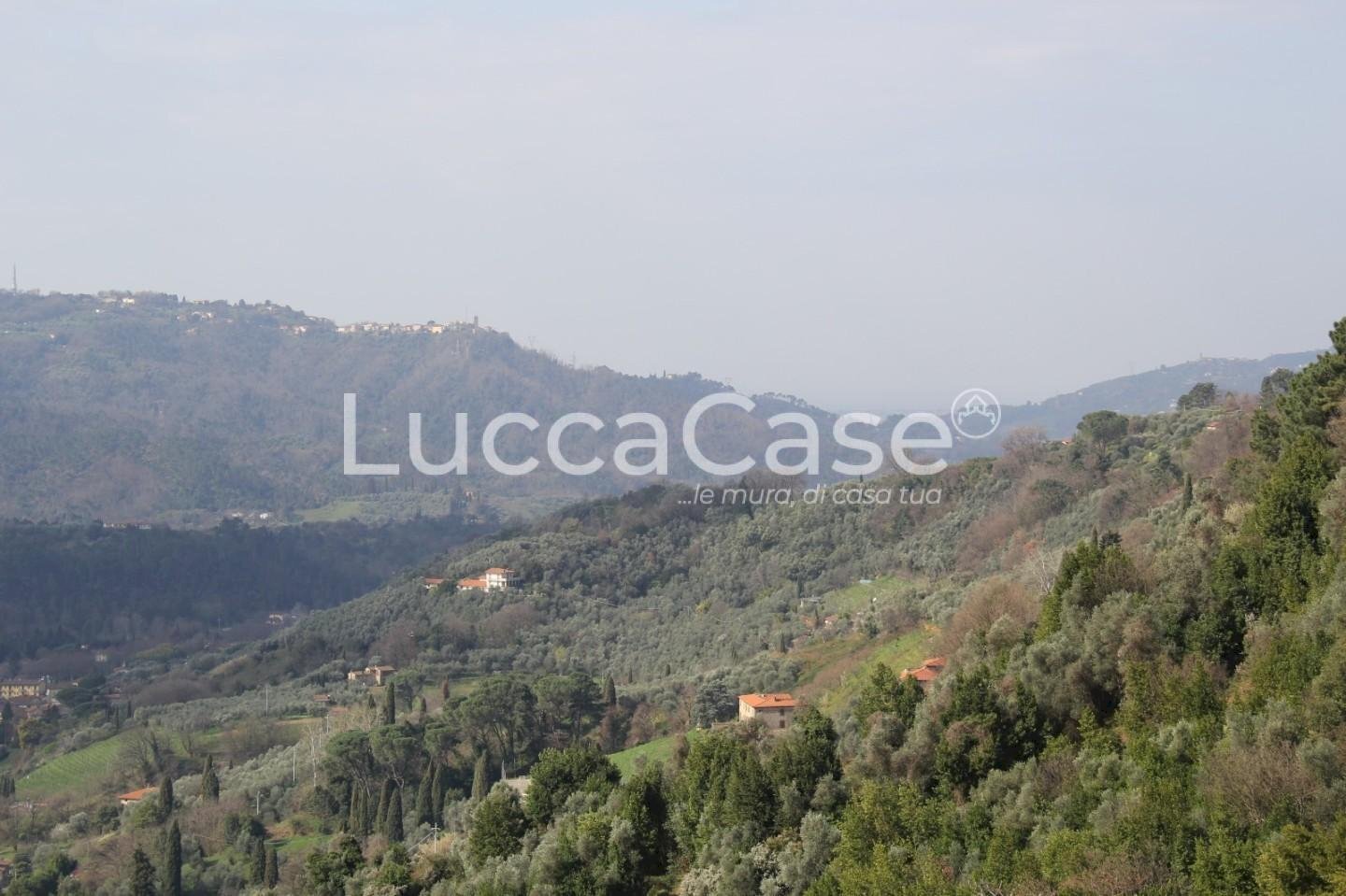 Rustico Camaiore - foto 2
