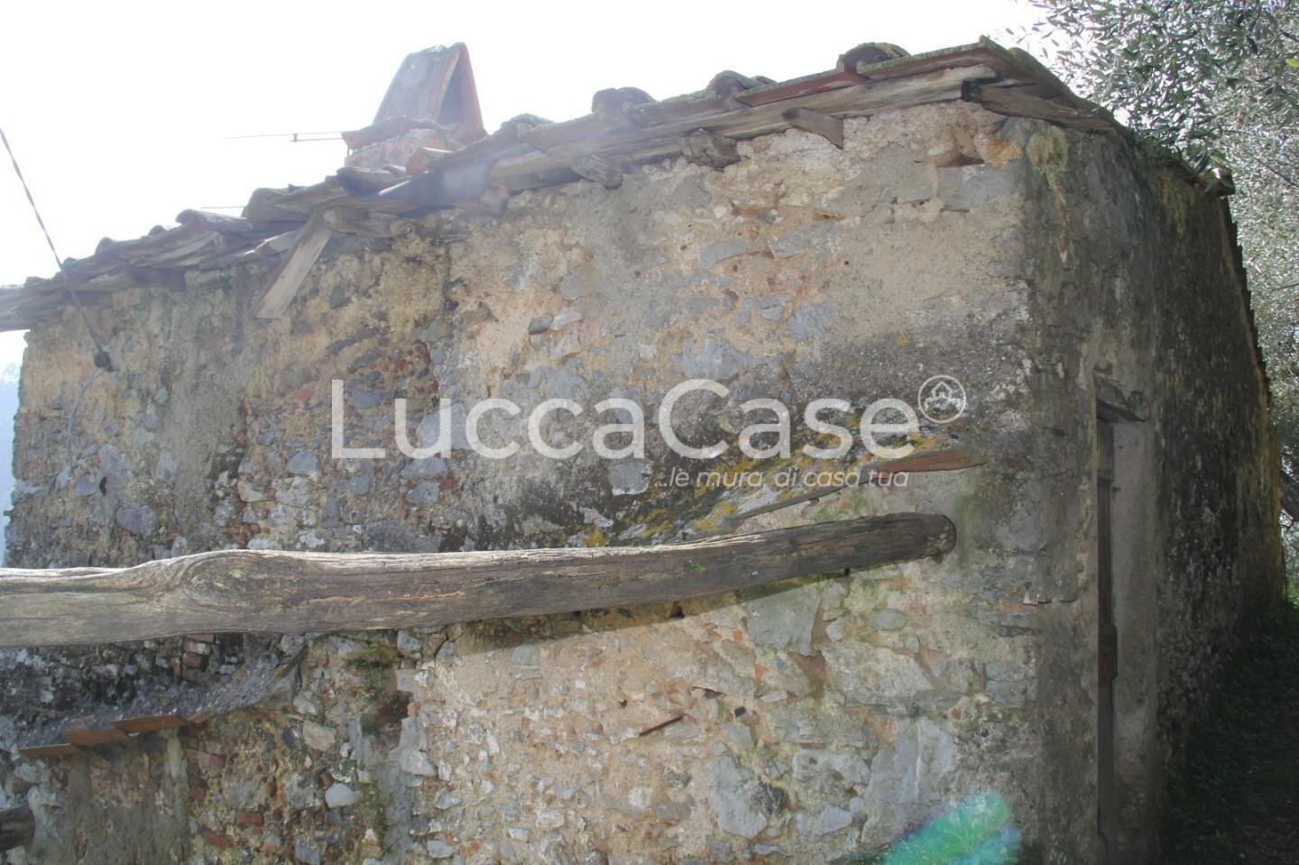 Rustico Camaiore - foto 3