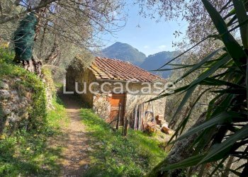 Rustico Camaiore - foto 1