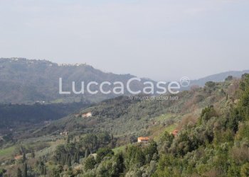Rustico Camaiore - foto 2