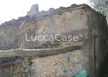 Rustico Camaiore - foto 3
