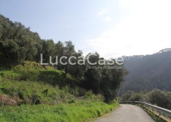 Rustico Camaiore - foto 4