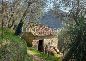 Rustico Camaiore - foto 6