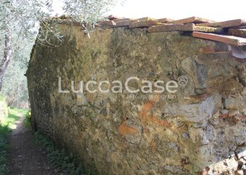 Rustico Camaiore - foto 7