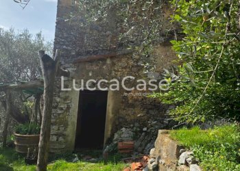Rustico Camaiore - foto 8