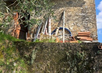 Rustico Camaiore - foto 10