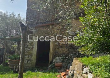 Rustico Camaiore - foto 11