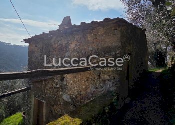 Rustico Camaiore - foto 12