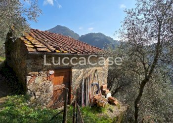 Rustico Camaiore - foto 13