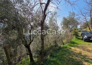 Rustico Camaiore - foto 14