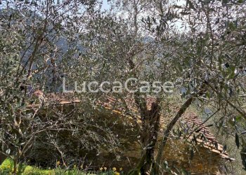 Rustico Camaiore - foto 15