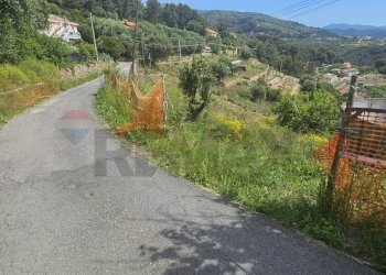 Terreno edificabile strada bragheira 
 Sanremo, IM, Sanremo - foto 5