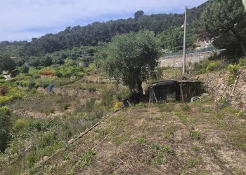 Terreno edificabile strada bragheira 
 Sanremo, IM, Sanremo - foto 6