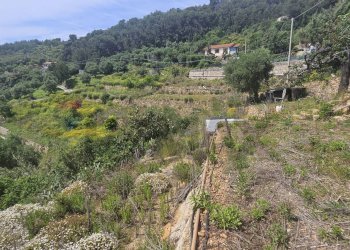Terreno edificabile strada bragheira 
 Sanremo, IM, Sanremo - foto 7