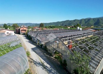 Commercial Activity Via Rivarola, Revello - photo 2