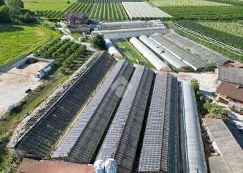 Commercial Activity Via Rivarola, Revello - photo 4