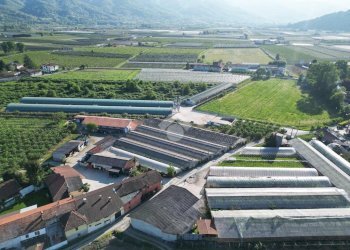 Commercial Activity Via Rivarola, Revello - photo 6