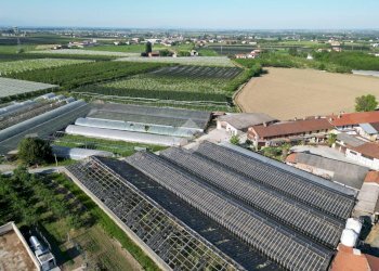 Commercial Activity Via Rivarola, Revello - photo 9