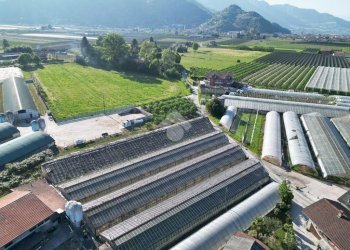 Commercial Activity Via Rivarola, Revello - photo 10