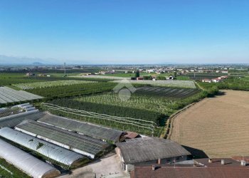 Commercial Activity Via Rivarola, Revello - photo 11